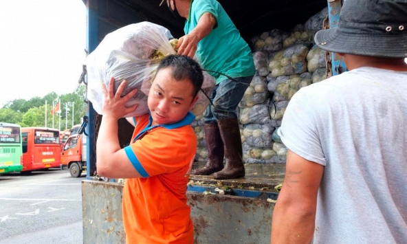 Người dân TP.HCM được hỗ trợ 1.000 tấn nông sản Đà Lạt