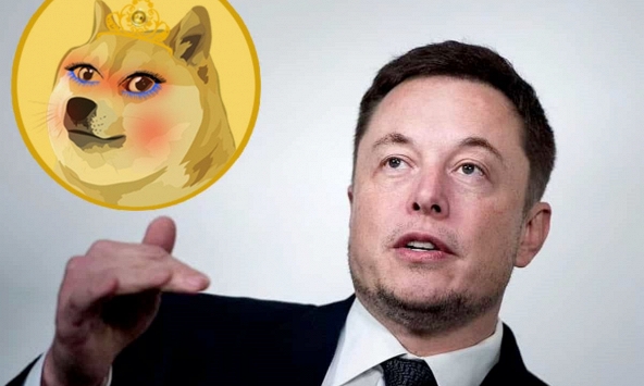 Tăng 3.000%, 'vợ của Dogecoin' tạo ra cơn 'địa chấn' trên thị trường tiền ảo