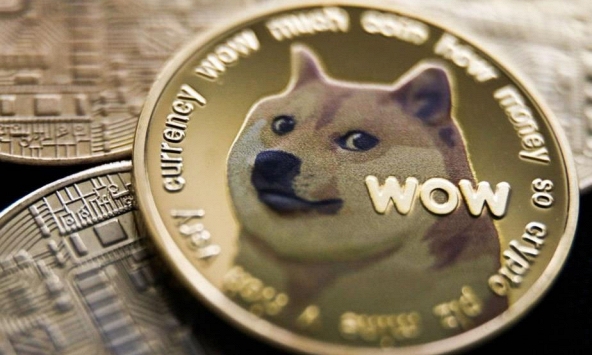 Vì sao nhiều tổ chức tranh nhau sở hữu Dogecoin?