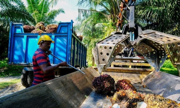 Làn sóng COVID-19 ở châu Á tiếp tục làm gián đoạn chuỗi cung ứng toàn cầu