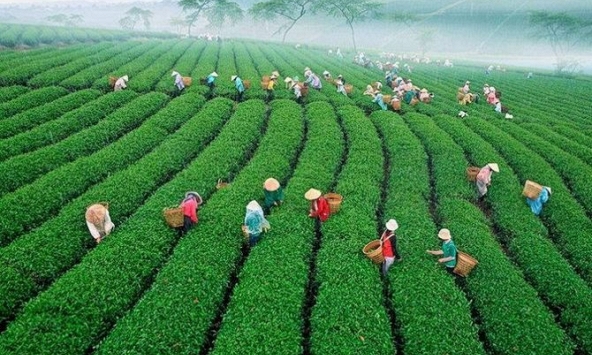 Lâm Đồng dừng giãn cách xã hội, Hà Nội, Long An cùng nhiều tỉnh thành thực hiện  Chỉ thị 15