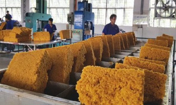 Tổng cục Hải Quan công bố số liệu xuất khẩu cao su 8 tháng 2021