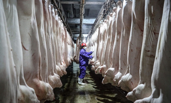 Giá thịt heo tại Trung Quốc giảm hơn 56% kể từ đầu năm 2021
