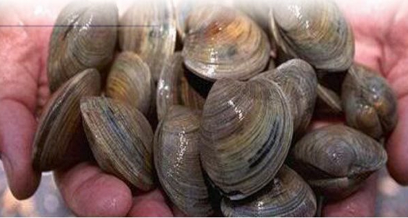 Nền kinh tế dần mở cửa, giá thủy sản các tỉnh miền Tây đang phục hồi