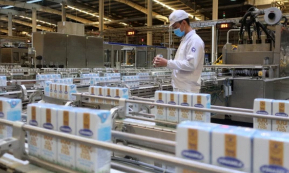 Ba mũi nhọn trong chiến lược thực hiện mục tiêu kép của Vinamilk