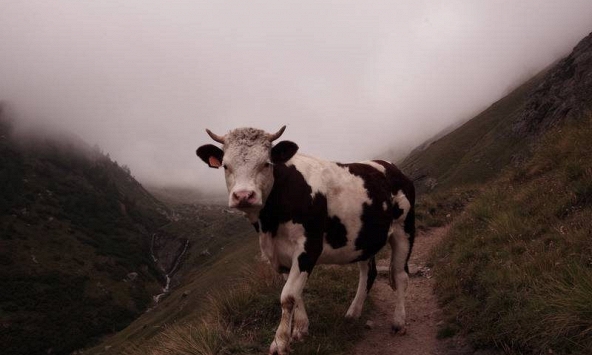 Bitcoin vượt mốc 47.000 USD khi cổ phiếu giảm giá và nhà đầu tư để mắt đến lạm phát