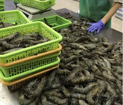 Xuất khẩu thủy sản tháng 9/2021 giảm mạnh so với cùng kỳ