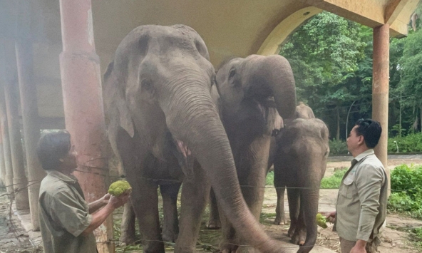 AEON nhận nuôi ăn cho động vật tại Thảo Cầm Viên