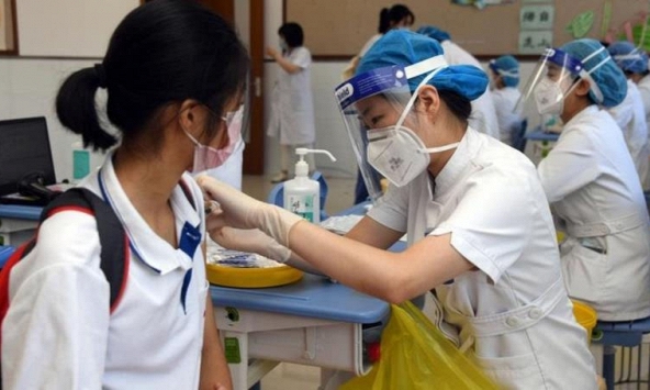 Có nên cho trẻ uống lá tía tô trước tiêm vaccine COVID-19 để giảm sốt?