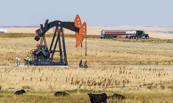 Khủng hoảng năng lượng toàn cầu cho thấy sức ép chuyển dịch sang năng lượng tái tạo