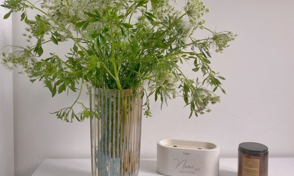 Làm việc online, chị em rỉ tai nhau săn hoa cà rốt, cà phê, lúa non... trang trí nhà cửa