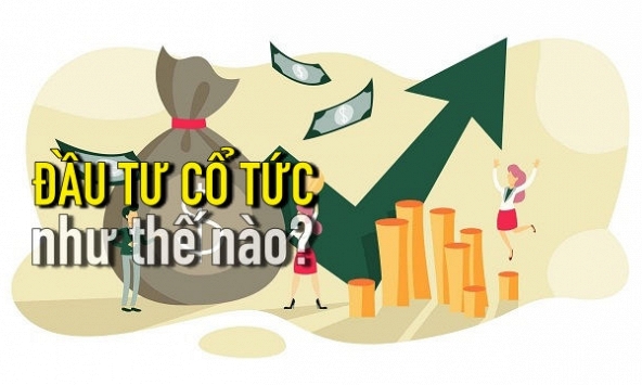 Tư vấn đầu tư: Những điều cơ bản về đầu tư cổ tức (phần 11)