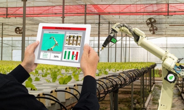 Triển vọng tương lai cho trí tuệ nhân tạo trên thị trường việc làm là gì?