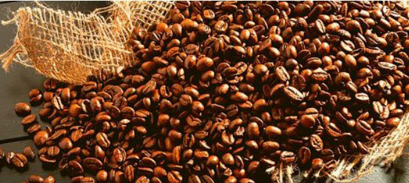 Giá cà phê xuất khẩu đạt mức cao nhất trong gần 4 năm