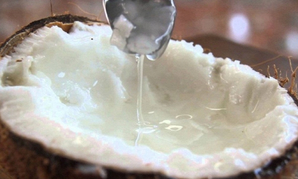 Dừa sáp lần đầu xuất đi Úc bằng máy bay bán giá 600.000 đồng/quả