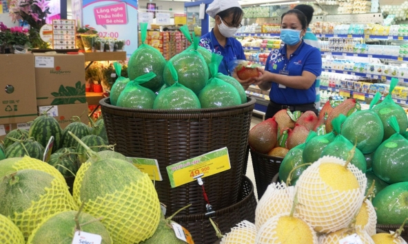 Bưởi da xanh rớt giá tại các chợ dân sinh