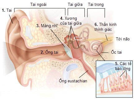 Nghiên cứu mới, người mắc COVID-19 có thể bị ảnh hưởng đến thính giác