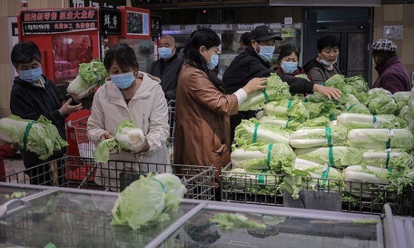 Người dân nhiều tỉnh thành Trung Quốc cuống cuồng tích trữ bắp cải