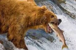 Cổ phiếu cần quan tâm 11/11: PNJ, VPB, HT1 và VRE