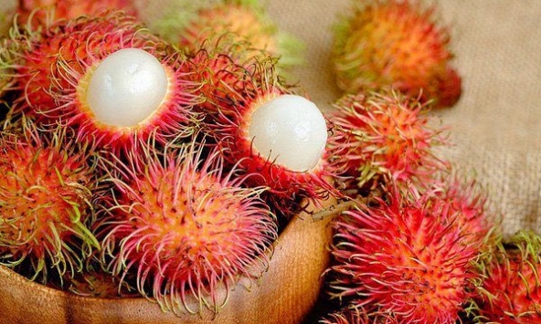 EU cảnh báo 4 loại nông sản của Việt Nam vi phạm quy định an toàn thực phẩm