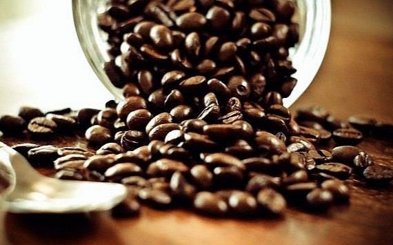 Tuần qua, giá cà phê trong nước tăng 600 - 700 đồng/kg