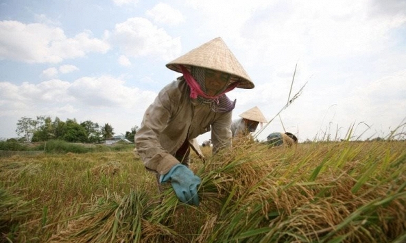 Đồng bằng sông Cửu Long thay đổi cơ cấu nông nghiệp sau khi Việt Nam tham gia COP26?