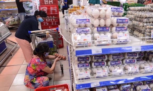 Giá trứng gia cầm giảm mạnh, người chăn nuôi lỗ vốn