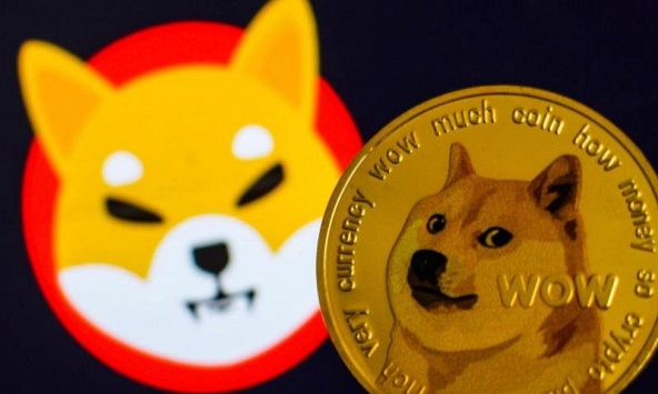 Shiba Inu và Dogecoin được tìm kiếm nhiều nhất trên Google Hoa Kỳ trong tháng 11