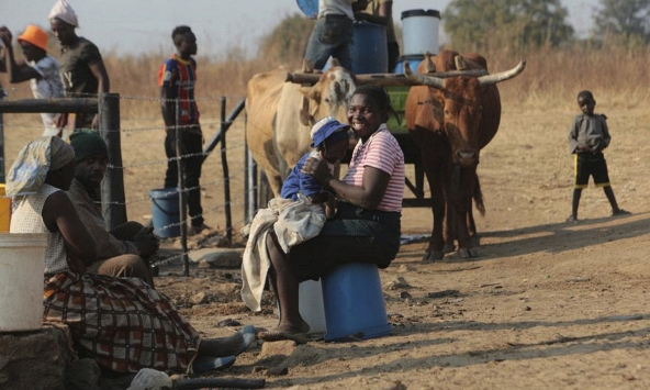 COVID-19 đột ngột giảm tại Nhật Bản và châu Phi