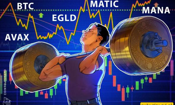 5 loại tiền điện tử hàng đầu cần chú ý trong tuần này: BTC, AVAX, MATIC, EGLD, MANA