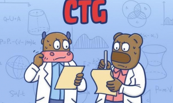 Cổ phiếu cần quan tâm 26/11: CTG, DGW, PNJ, PDR