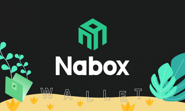 Nabox là gì, có nên đầu tư Nabox wallet?