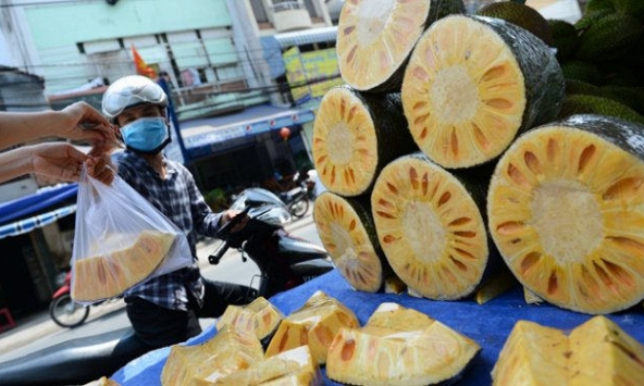 Mít thái vào mùa, giá giảm mạnh còn 2.000 đồng/kg