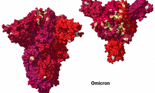 Người mắc biến chủng Omicron không bị mất khứu giác và vị giác