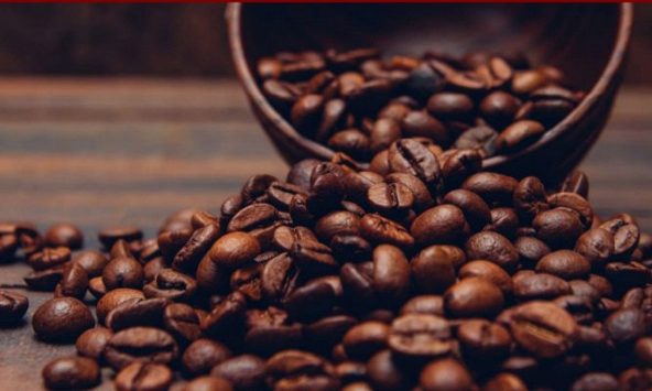 Xuất khẩu cà phê của Việt Nam giảm cả về lượng lẫn giá trị trong tháng 11