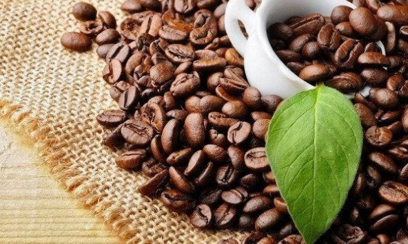 Tuần qua, thị trường cà phê có xu hướng đi xuống