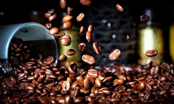 Giá cà phê nội địa đi ngang liên tục trong 3 ngày qua