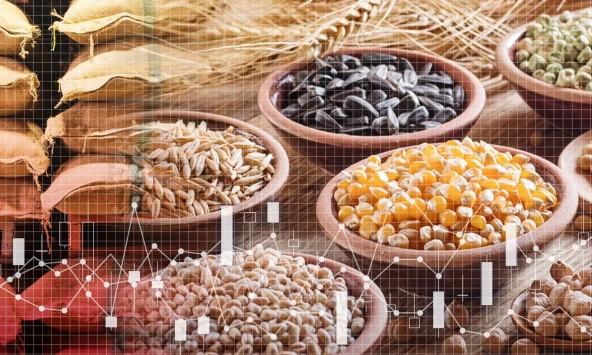 Trung Quốc tích trữ hơn một nửa ngũ cốc của thế giới, đẩy giá toàn cầu lên