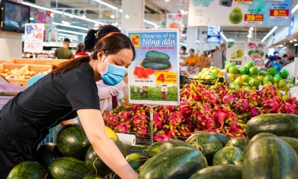 Dưa hấu rớt giá có nơi chỉ còn 2.000 đồng/kg vẫn không có người mua