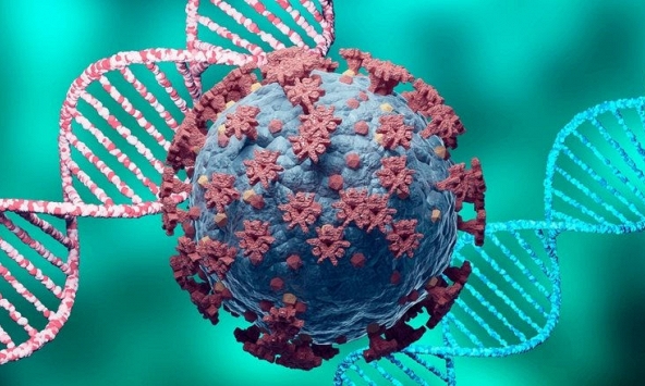 Phát hiện biến thể mới của COVID-19 chứa 46 đột biến