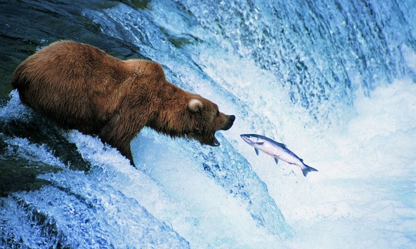 Cổ phiếu cần quan tâm 6/1: GVR, KBC, PVT, LCG