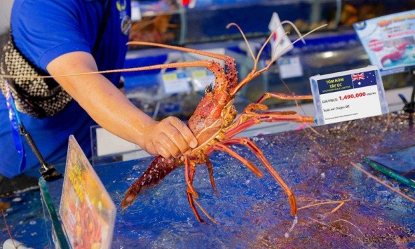 Giá thủy hải sản vẫn ổn định mặc dù gần đến Tết Nguyên đán 