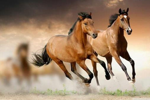 Xem tuổi xông đất 2022 cho gia chủ tuổi Mậu Ngọ 1978