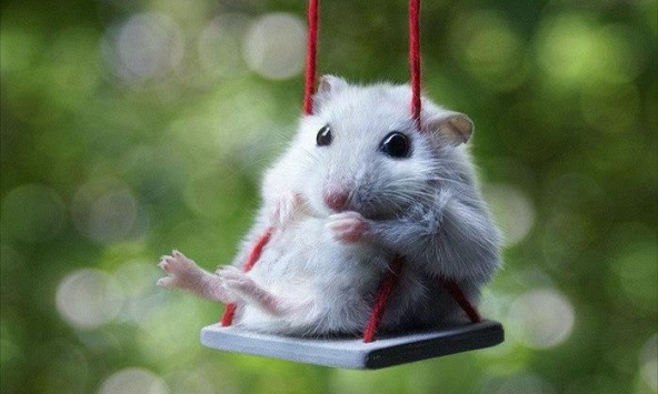 Ngày khai trương đẹp nhất năm 2022 cho tuổi Canh Tý 1960