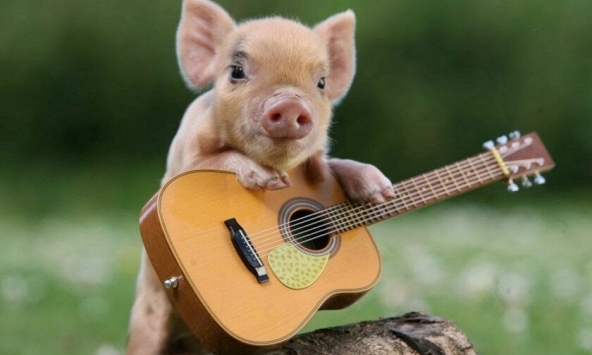 Ngày khai trương đẹp nhất năm 2022 cho tuổi Ất Hợi 1995 