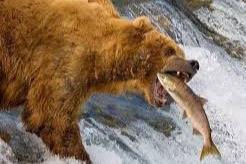 Cổ phiếu cần quan tâm 28/1: ACB, BMP, TCB, HDG, VPB