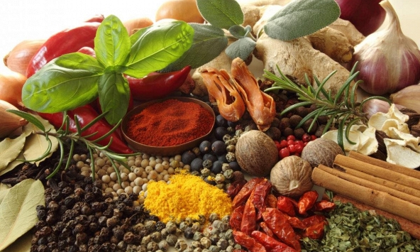 Mỹ vẫn là thị trường lý tưởng của tiêu Việt Nam trong những năm tới