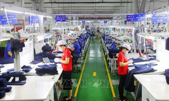 Xu hướng đa dạng hóa các loại tài sản tiền ảo của nhà đầu tư