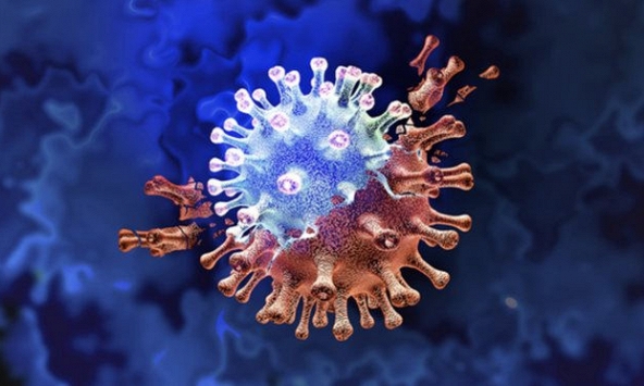 Biến chủng lai giữa Delta và Omicron nguy hiểm thế nào?