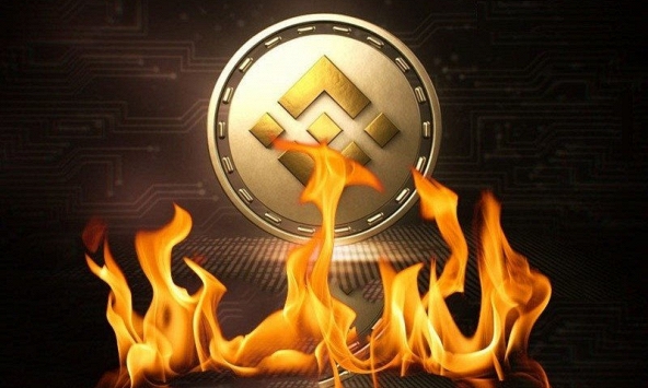 Bảng giá tiền điện tử ngày 24/2: Cập nhật chi tiết các loại coin hàng đầu hiện nay